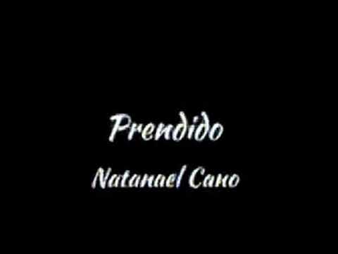 Prendido-Natanael cano 🦥 (audio oficial) #natanaelcano #reggaeton #musica