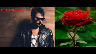 ROSAS en el LODO 🌹🌹🌹