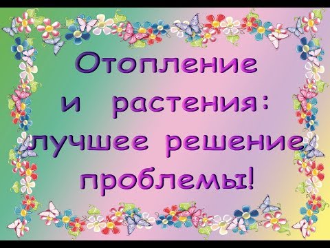 ЖАР БАТАРЕЙ и орхидеи:ИДЕАЛЬНОЕ РЕШЕНИЕ проблемы для ВСЕХ РАСТЕНИЙ.