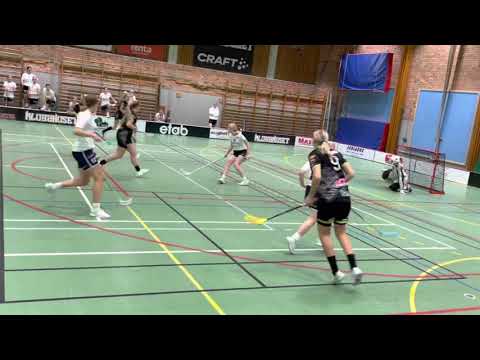 Highlights  JAS Dj18 Åstorp/Kvidinge IBS -Växjö IBK Utveckling  7-5