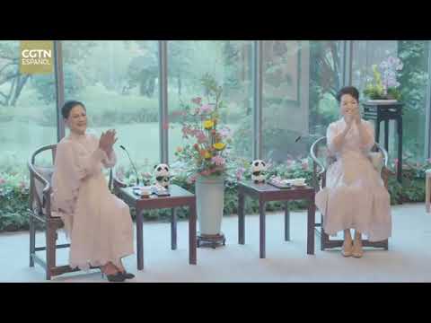 Peng Liyuan se reúne con la primera dama indonesia en Chengdu