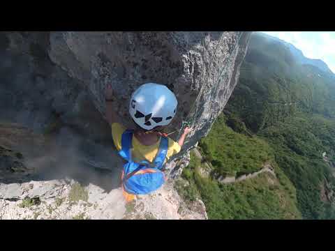 Fano Adriano Vene rosse "Alberelli L3"