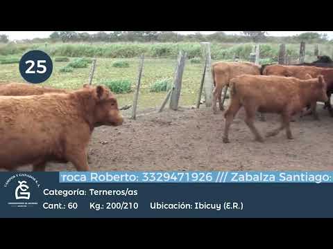 Lote M Y H - Ibicuy E Rios