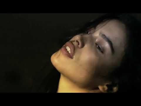 roiily X vigotrønique - aquarium