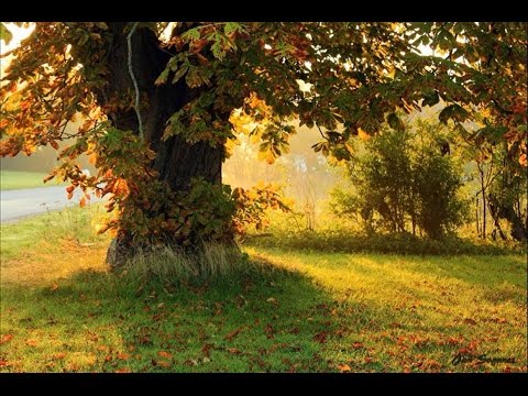 MARCAS DO TEMPO - Ivan Souza & Júlio César