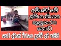 කුනුහරප කියන පොඩි එකෙක් Srilankan Small Boy Telling Bad Word