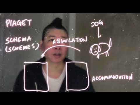 Piaget: Schema, Assimilation, and Accommodation