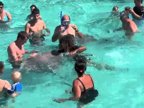Ian kisses a stingray