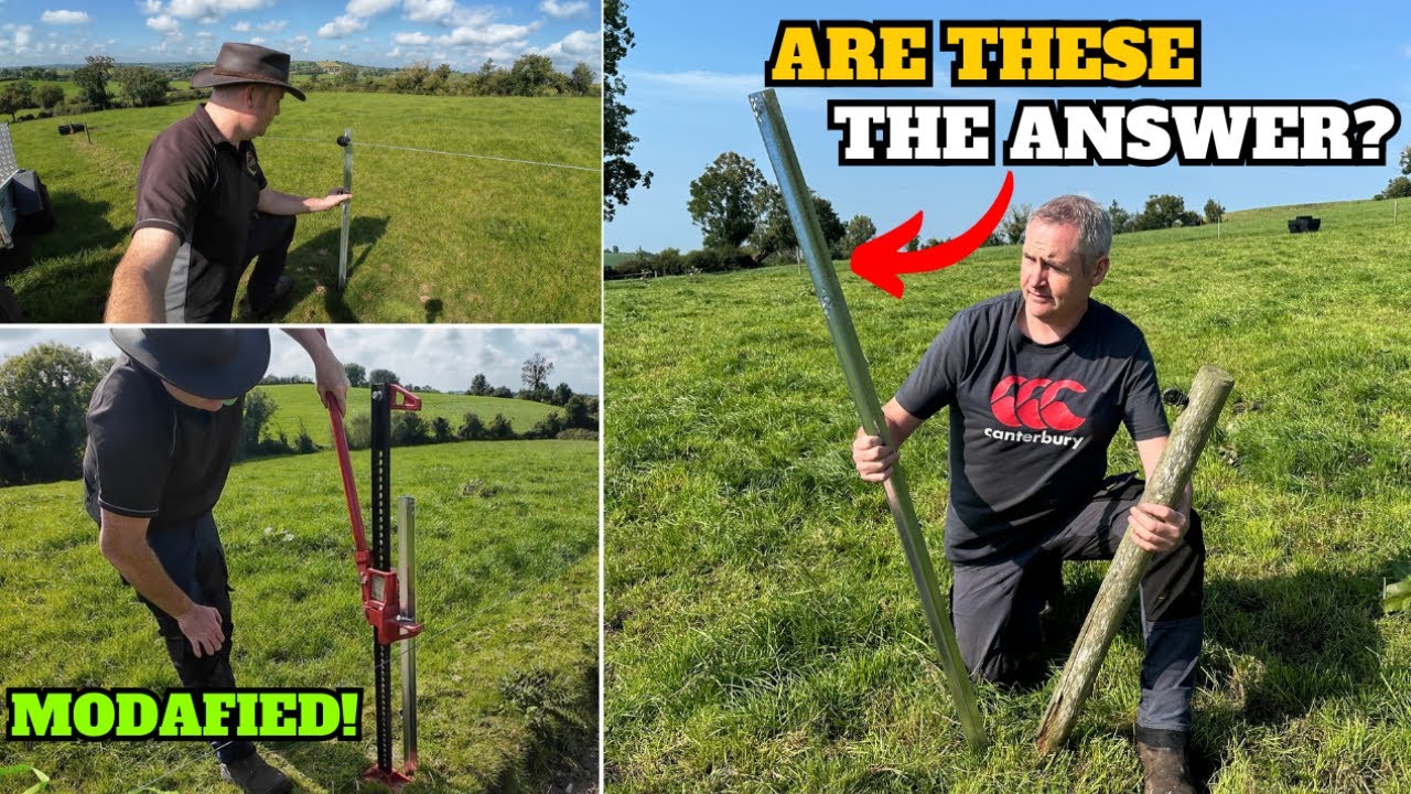 Are They Worth The EXTRA Cost? STEEL Vs TIMBER Fencing Posts - PRO'S & CONS