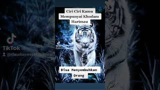 Download lagu Ciri Ciri Kamu Punya Khodam Harimau mp3 Download lagu Ciri Ciri Kamu Punya Khodam Harimau mp3