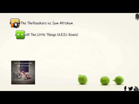 The Thrillseekers vs. Sam Mitcham - All The Little Things (A.R.D.I. Remix) [Adjusted Music]