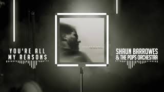 Shaun Barrowes &amp; the Pops Orchestra - You&#39;re All My Reasons (Official Audio)