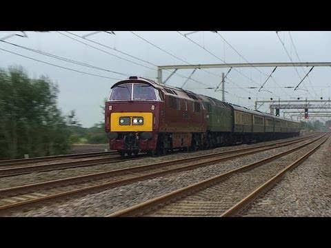 D1015 WESTERN CHAMPION AT BAMFURLONG NR WIGAN 21/9/13