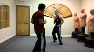 Kung Fu Dance: My Way of Capoeira (Sidai Xun Si)