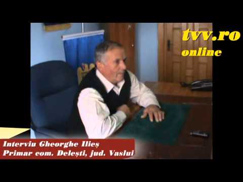 Delesti - Interviu primar Gheorghe Ilies