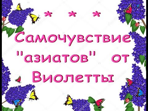 ОРХИДЕИ "азиаты" от Виолетты спустя 3 месяца.С днем рождения,ОЛЬГА!!!
