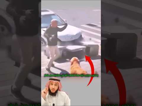 قبل أن تقع الكارثة أدرك هذا الكلب ما عجزت العيون عن رؤيته 😱 #اكسبلور #ترند #dog #shorts