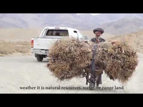 Social Cohesion and Stabilisation through Sustainable Water Management in Killa Abdullah