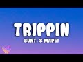 BUNT Mapei TRIPPIN