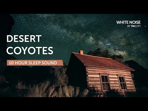 Desert Coyotes and Wildlife Sleep Sound - 10 Hours - Black Screen