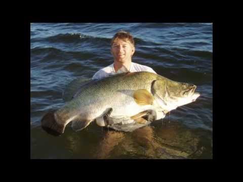 NILBARSCH-SAFARI 2016!