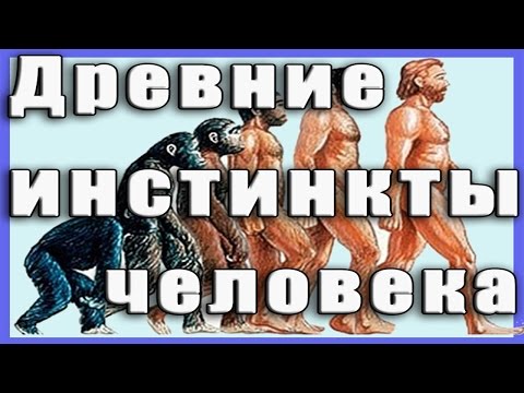 Древние инстинкты человека.The ancient human instincts