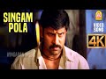 Singam Pola - 4K Video Song | சிங்கம் போல  | Dhool | Vikram | Jyothika | Reema Sen | Vidyasagar