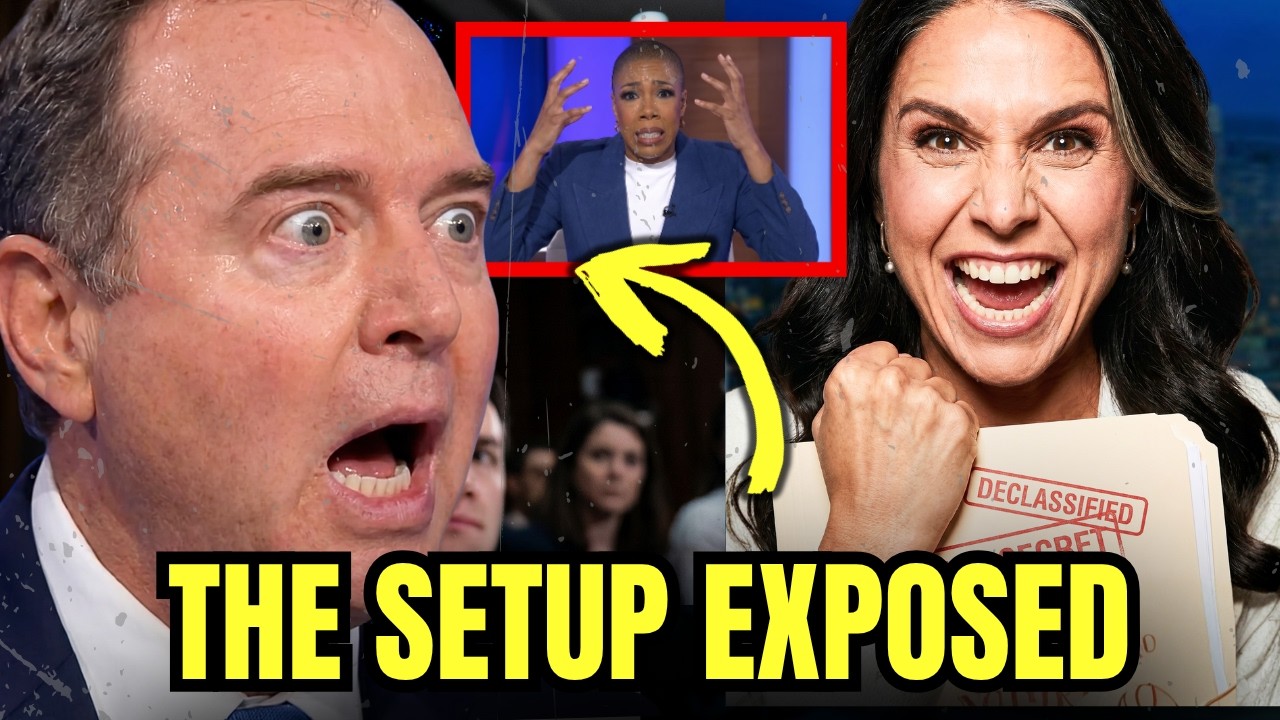 MSNBC Caught Lying AGAIN! The Mainstream Media Is Desperately Hiding Tulsi's Receipts!!!!