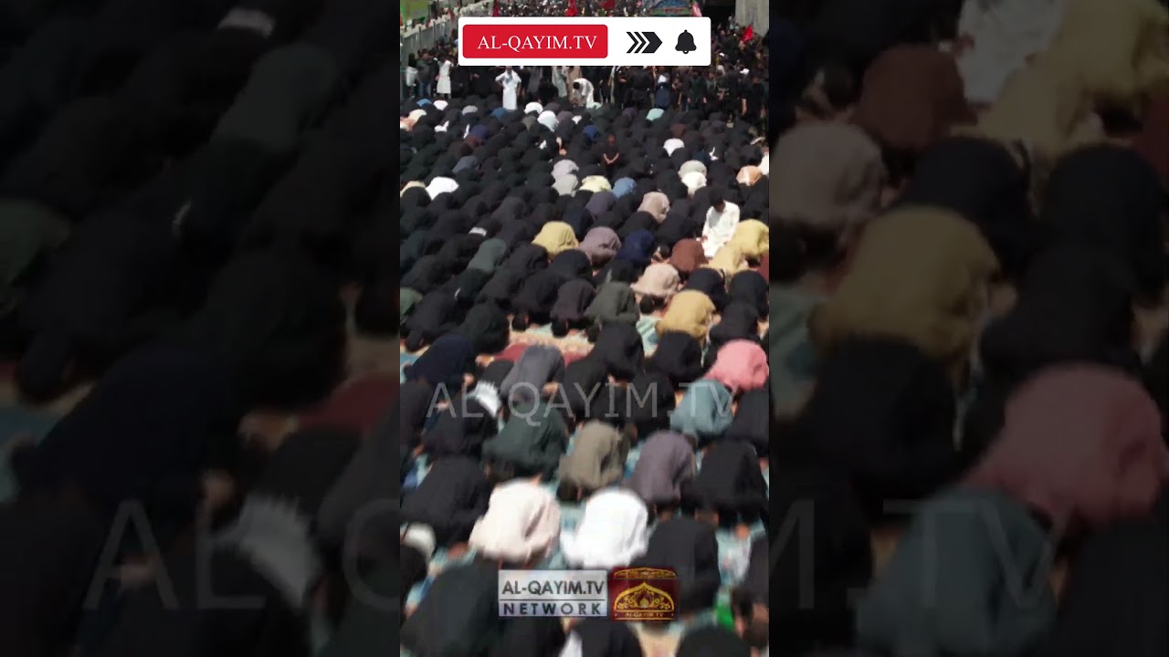 Aerial View Namaz E Zohar at Markazi Juloos Arbaeen | Karachi | 2024 || Thousands of Momineen Attend