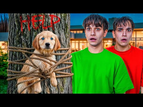 SOMEONE LEFT A DOG IN OUR BACKYARD 