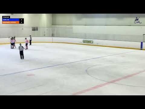 2021.03.21 LEHEL HC - EGERSZEGI TITÁNOK U16🇭🇺 3.harmad