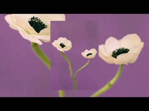 (Free) Smino x Saba Type Beat - "HOW BOUT NOW"