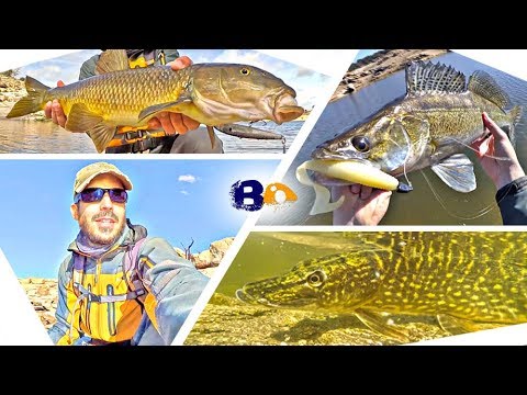 3 LANCES de PESCA ¡Imposibles de Olvidar! | www.bofishing.es