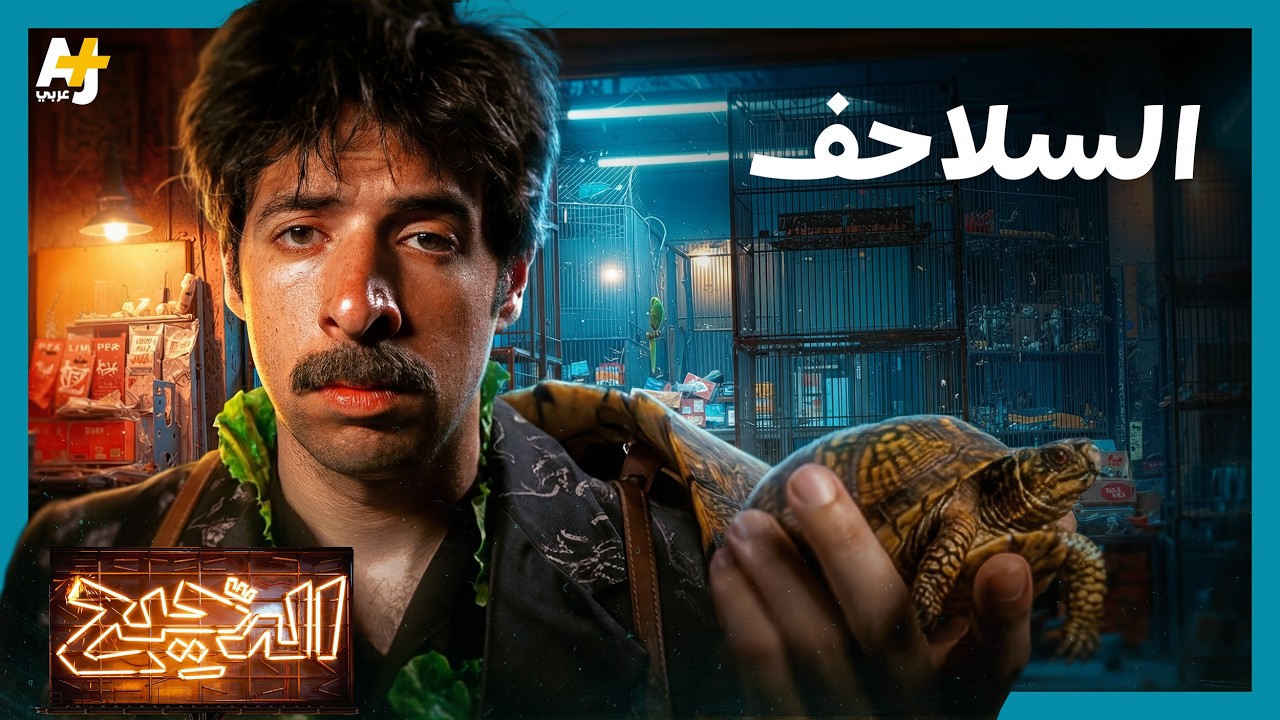 الدحيح | كيف نجت السلاحف من الكوارث الطبيعية؟