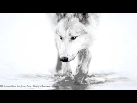Andrew Rayel feat. Jonny Rose - Daylight (Prananta Mashup)
