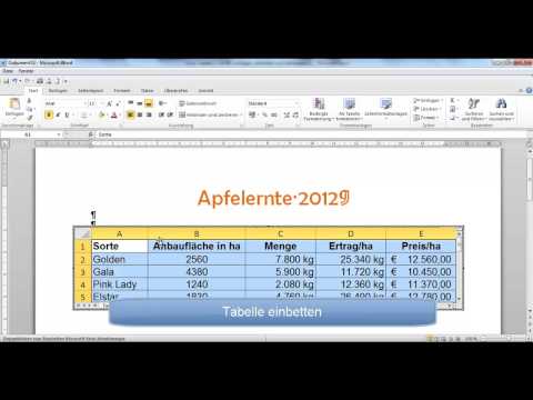 UD 17 - Excel-Tabelle in Word einfügen, einbetten und verknüpfen