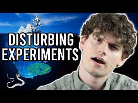 The Philosophical Paradox Iceberg Explained