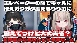 ギャルを怖がるりりむに確キルを入れる月ノ美兎【にじさんじ/切り抜き/魔界ノりりむ/月ノ美兎/委員長】