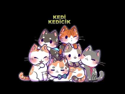 Kedi Kedicik Ben Seni Çok Severim 🐈🐕🐏🐣Köpekçik Kuzucuk Civcivcik Nursery Çocuk Şarkıları Tekerleme