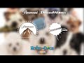 Paramount Pictures Nickelodeon Movies 2009