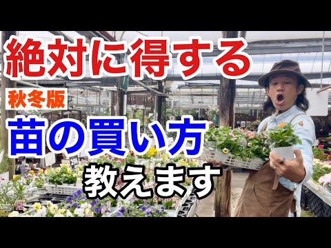 園芸 家が大好きなシルバーフィッシュ