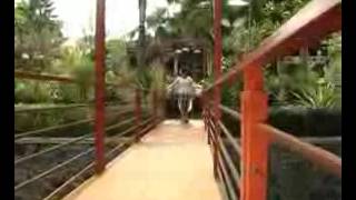 Download lagu Mae Nurhayati - Manuk Dadali mp3 Download lagu Mae Nurhayati - Manuk Dadali mp3