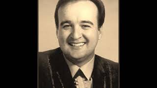 Johnny Bush -- Until My Dreams Come True