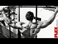 Arnold Back Workout COBRA BACK