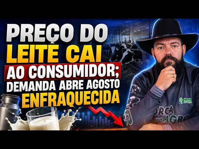 Preço do leite cai ao consumidor; demanda abre agosto enfraquecida.