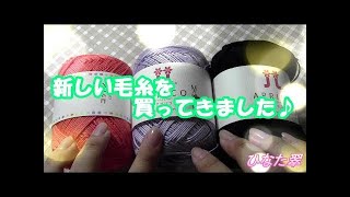 ハロウィン鬱袋を買ったら大当たりのアレが入ってた！？
