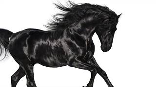 Old Town Road- Lil Nas X ft. Billy Ray Cyrus Remix