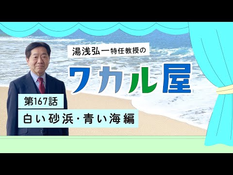 ワカル屋　第167話　白い砂浜・青い海編