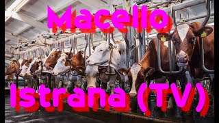 Slaughterhouse Fabio urban exploration video in Italy: Slaughterhouse