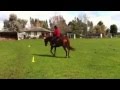 IMG 0580